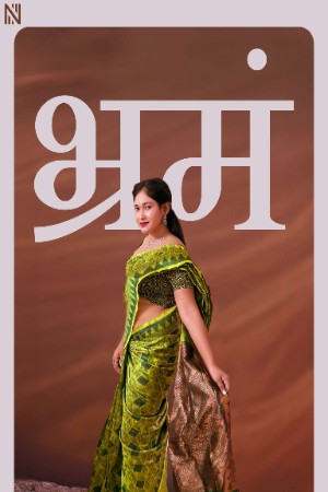 Bhramam S01 2025 - Hindi - Navarasa App