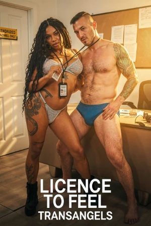 License To Feel 2026 - English - transAngels