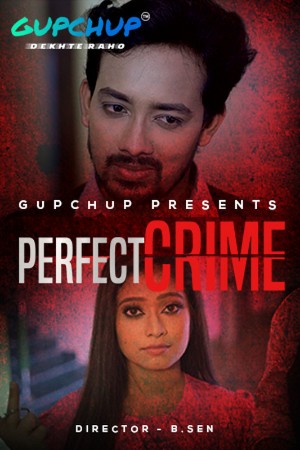 Perfect Crime